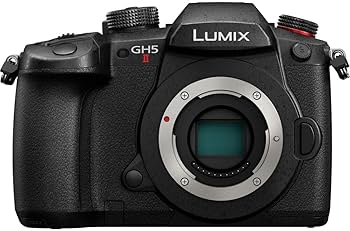 Amazon.com : Panasonic Lumix GH5 II Mirrorless Camera (DC