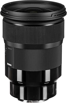 Amazon.com : Sigma 24mm F/1.4 DG HSM Art Lens for Sony E (401965