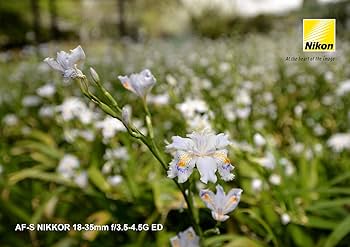 Amazon.co.jp: Nikon 超広角ズームレンズ AF-S NIKKOR 18-35mm f/3.5