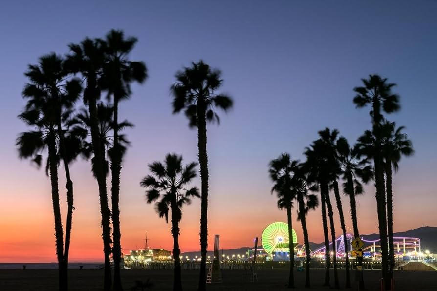 Amazon.co.jp: サンタモニカ ビーチ サンセット サンタモニカ ピア