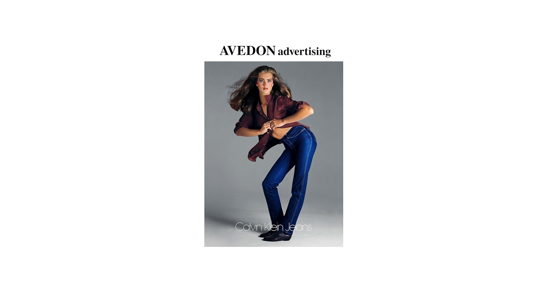 Avedon Advertising: A Photographic History: Avedon, Richard, The