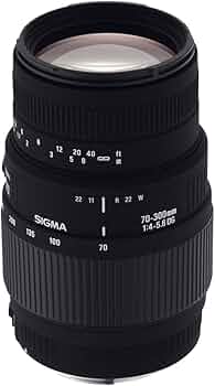 61nNk-sA7wL._AC_UF350,