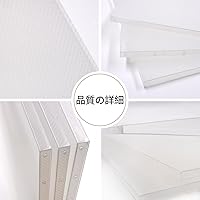 Amazon.co.jp: 12インチLPレコード外袋 2枚組LP用ハードカバー 透明