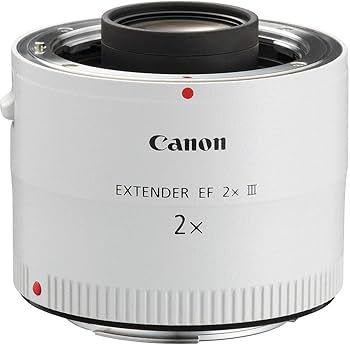 Amazon.com : Canon EF 2.0X III Telephoto Extender for Canon Super