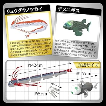 Amazon.co.jp: リュウグウノツカイ&デメニギス 深海魚 PREMIUM