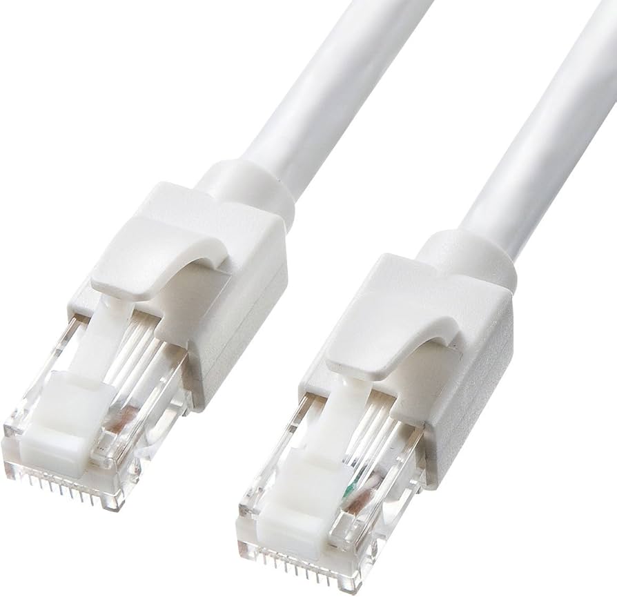 Amazon.co.jp: サンワサプライ CAT6A LANケーブル (5m) 10Gbps/500MHz
