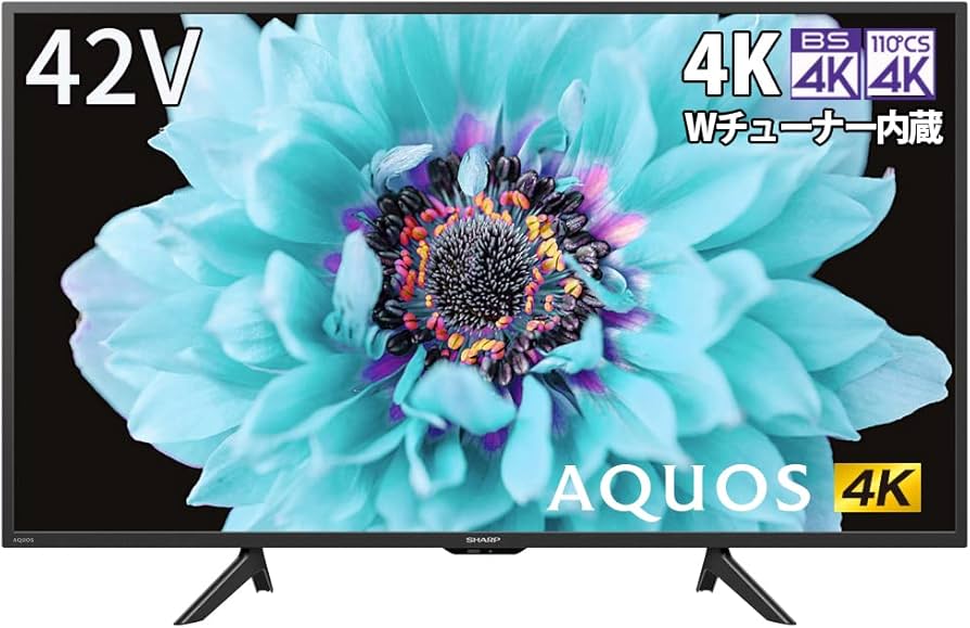 ⭐️バスゆき⭐️2022年製シャープ液晶テレビ4K 4T-C42DJ1 AQUOS 4K 4T