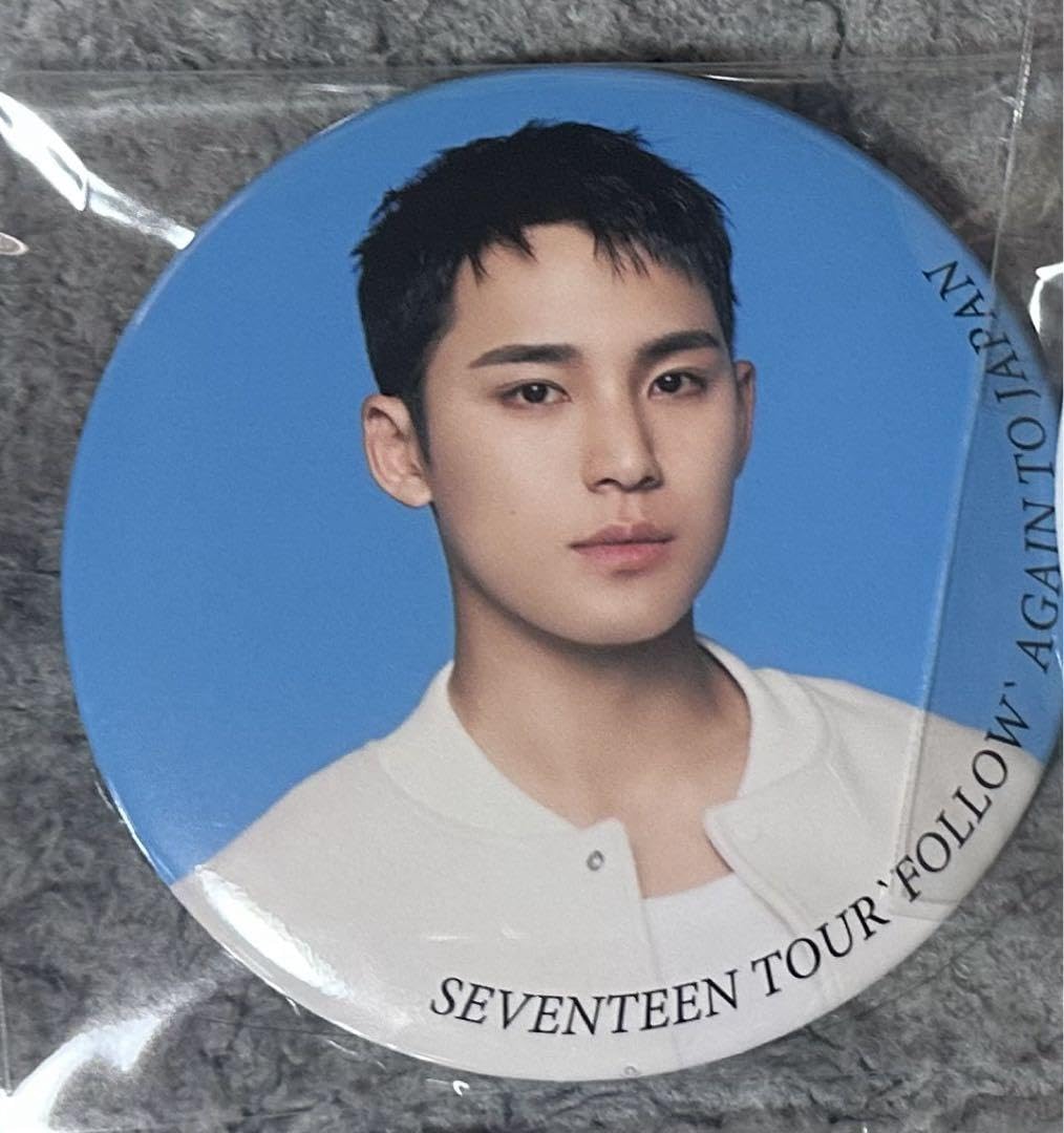 SEVENTEEN POWER OF LOVE ミンギュ あいのちから 缶バッジ SEVENTEEN