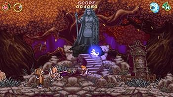 Amazon.com: Battle Princess Madelyn - (NSW) Nintendo Switch [Pre