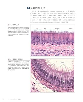 61oxZXilVcL._AC_UF350,