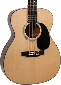 Amazon | Recording King 6弦アコースティックギター 右 ナチュラル