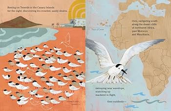 61pICzuPd6L._AC_UF350,