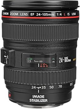 Amazon.com : Canon EF 24-105mm f/4 L is USM Lens for Canon EOS SLR