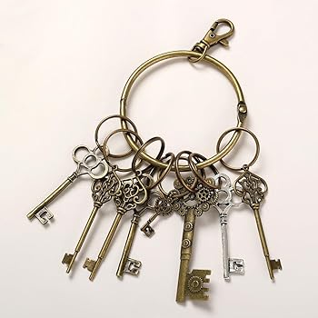 Amazon.com: BLESSUME Punk Key Chain Medieval Bronze Skeleton Keys
