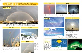 61pZyDEKKVL._AC_UF350,