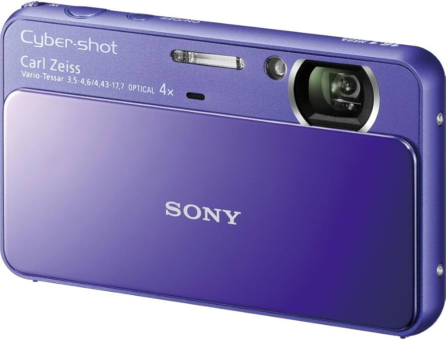 Sony Cyber-Shot DSC-T110 16.1 MP Digital Still Camera with Carl
