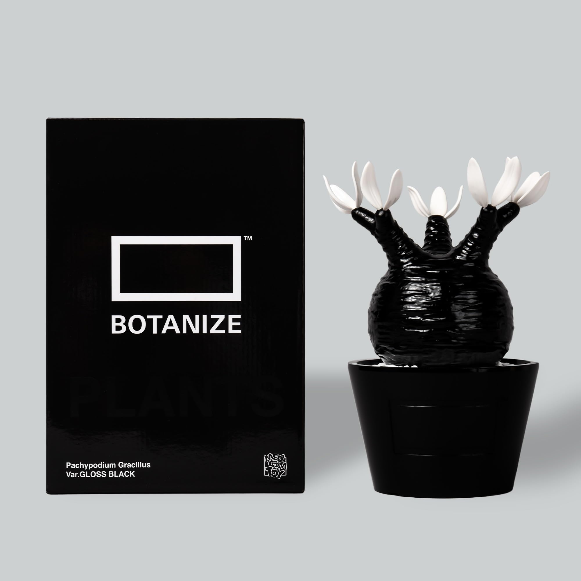 Amazon.co.jp: MEDICOM TOY × BOTANIZE 植物フィギュア, グロス