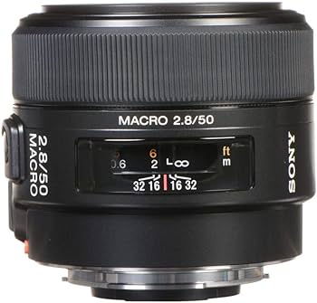 Amazon.com : Sony 50mm f/2.8 Macro Lens for Sony Alpha Digital SLR