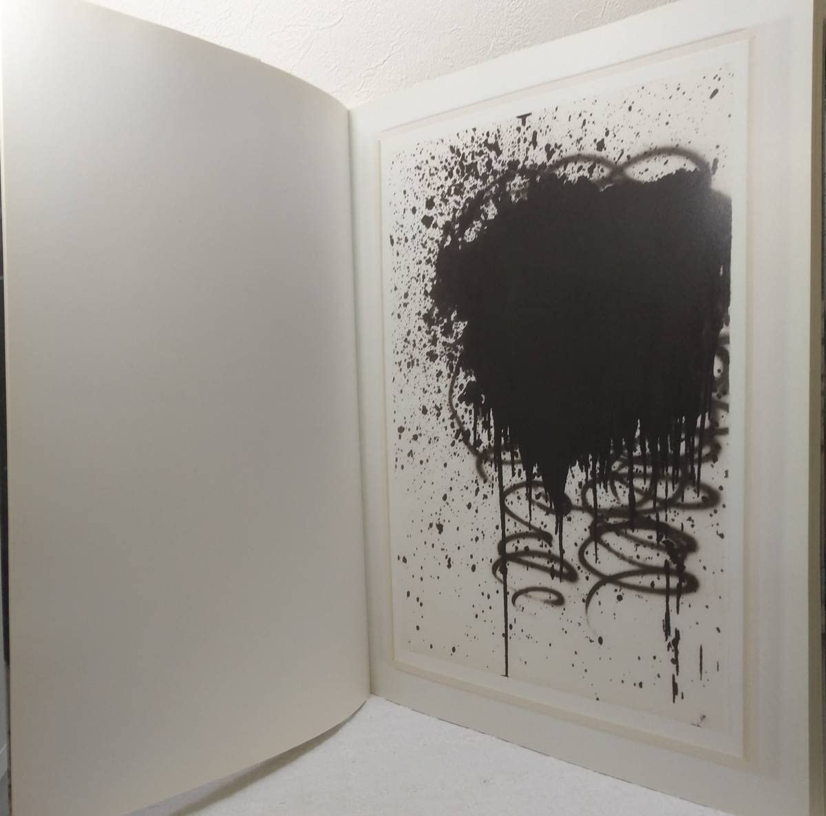 Amazon.co.jp: ア クリストファーウール 洋書作品集 Christopher Wool