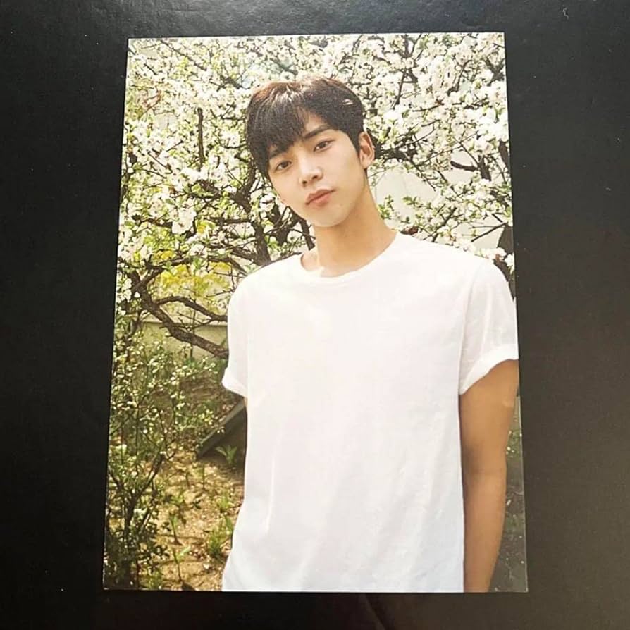 Amazon.co.jp: SF9 neoz 公式 ポストカード フォトカード ロウン b