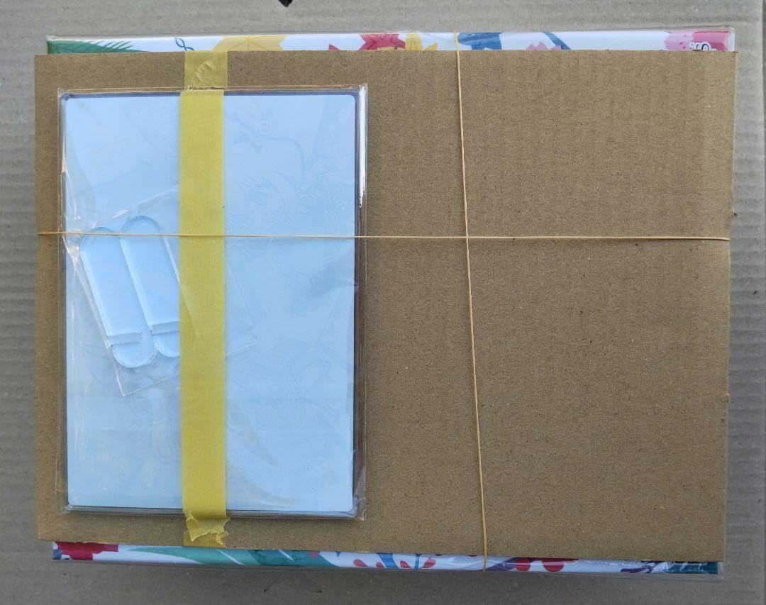 掛軸-1644 国井道成 名号本尊熊皮御影 共箱 親鸞聖人 掛軸-1644 国井