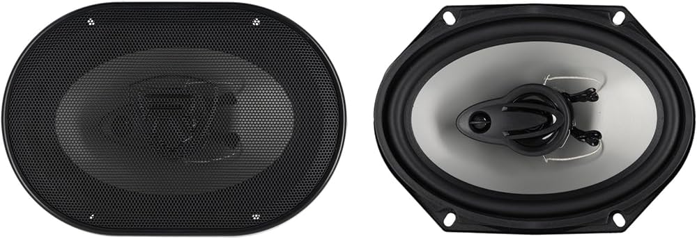 Amazon.com: Rockville RV68.3A 6x8