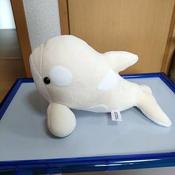 Amazon.co.jp: 名古屋港水族館 限定 白シャチぬいぐるみ 3等 可愛い