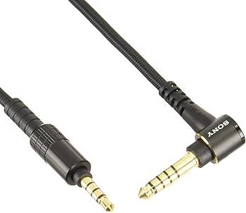 61q0qMJxIfL._AC_UF350,