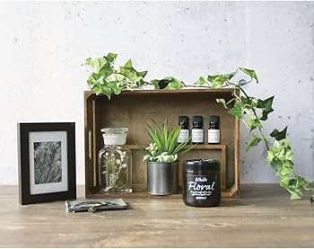 Amazon | 晴香堂 芳香剤 部屋用 ホワイトフローラル ゲルタイプ ルーム