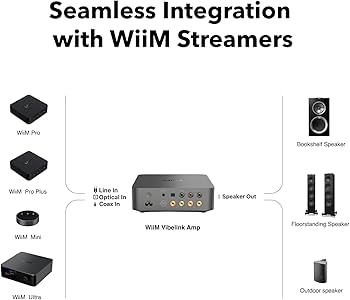 Amazon.com: WiiM Vibelink Amp | 100W Power Amplifier with Premium