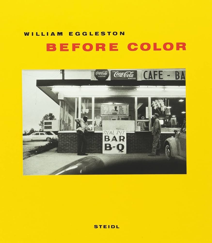 Amazon.com: Before Color: 9783869301228: Eggleston, William: Books