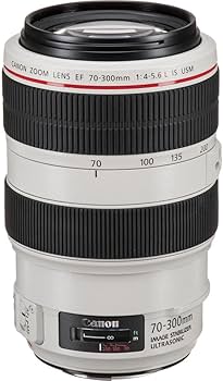 Canon EF 70-300mm f/4-5.6L is USM UD Telephoto Zoom Lens for Canon