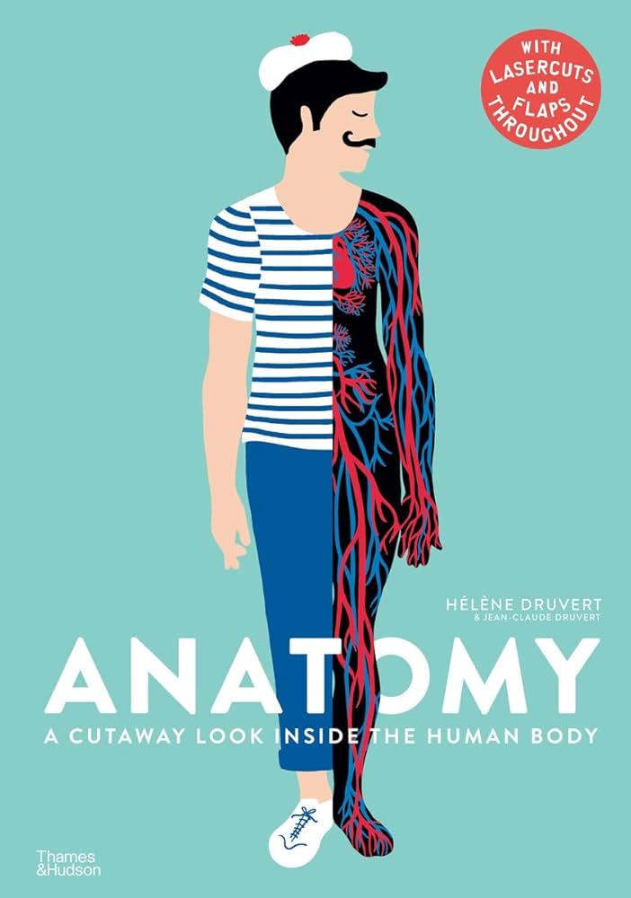 Anatomy: A Cutaway Look Inside the Human Body : Druvert, Hélène