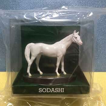 61rcjcwTY3L._AC_UF350,