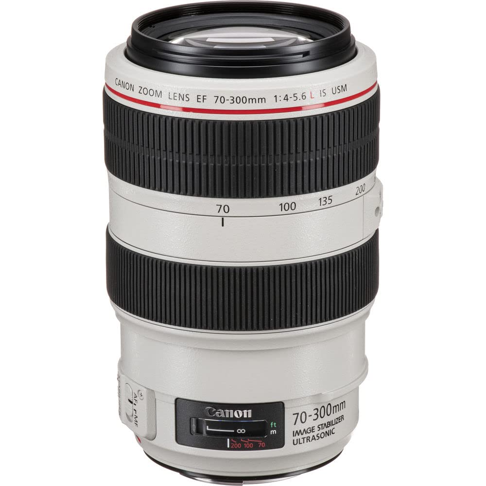 Amazon.com : USED Canon 70-300mm F4-5.6 L IS USM Lens : Camera