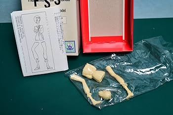 Amazon.co.jp: 未組 海洋堂 1/15 ファイブスター物語 マイスター