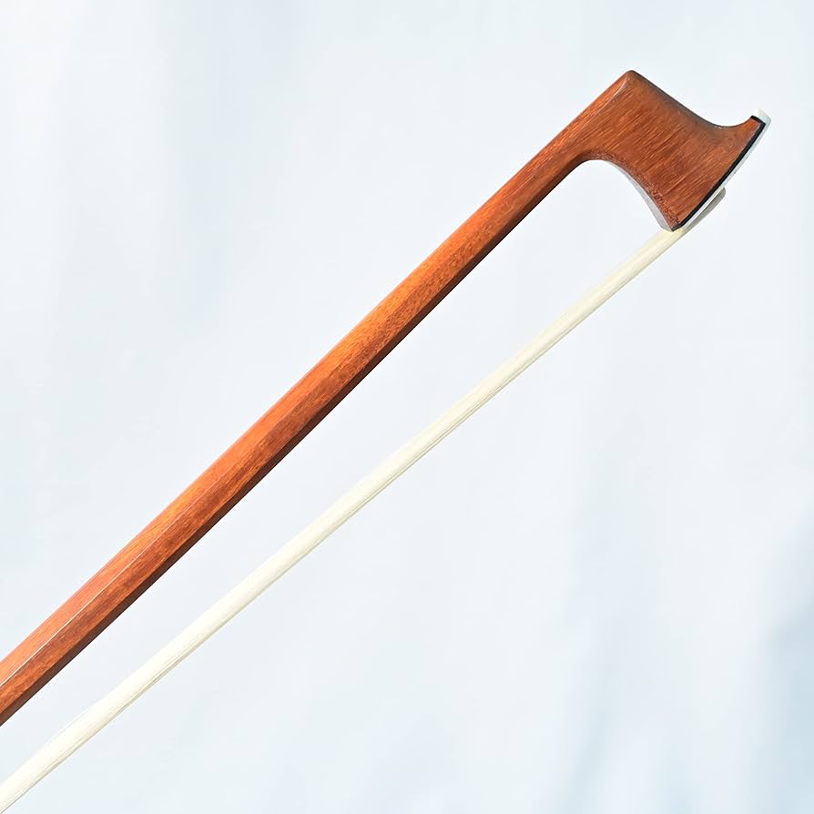 Amazon | ARTIGIANO&VIOLIN F.X.トルテモデル フェルナンブコ