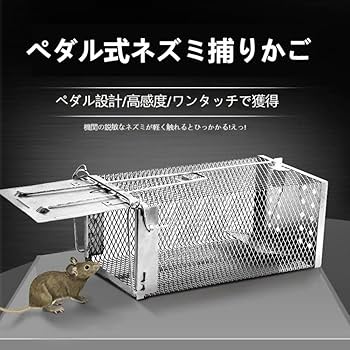 Amazon.co.jp: AMZX RJJZネズミのケージ、ネズミのケージは効率的で