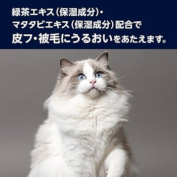 Amazon.co.jp: by Amazon 猫用 トリートメントイン シャンプー