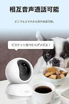 Amazon.co.jp: 【Amazon Alexa 認定取得】 TP-Link ネットワークWi-Fi