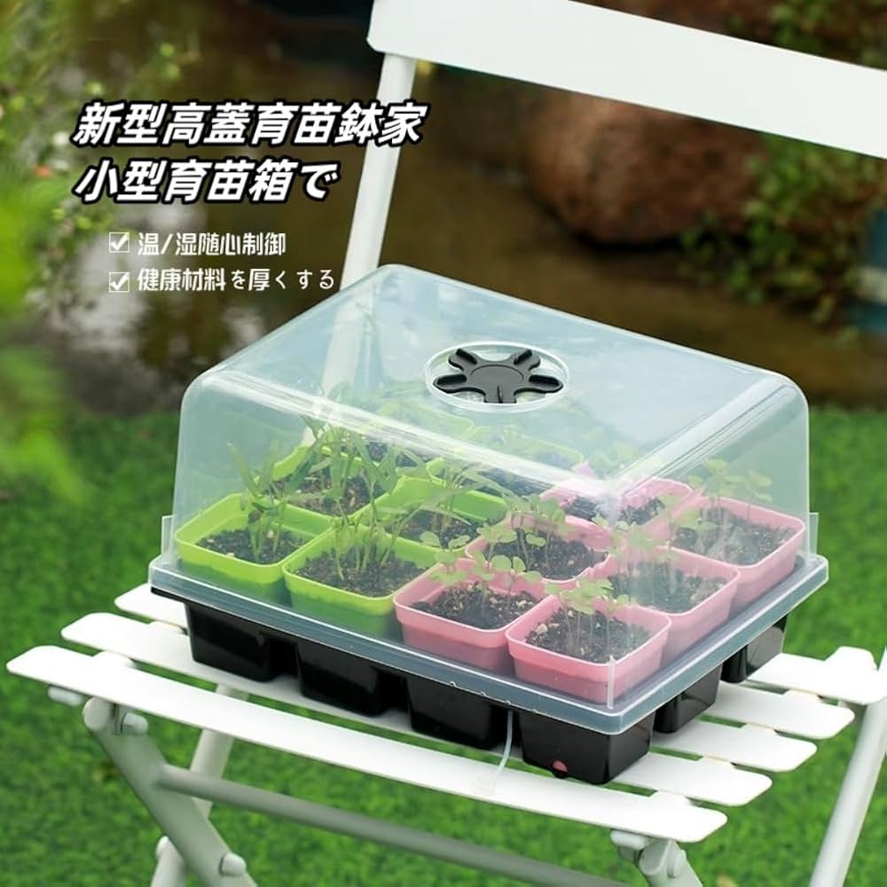 61s9wXB3txL._AC_UF1000,