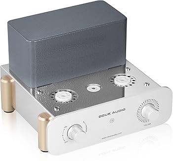 Amazon.com: Douk Audio F5 Pure Class A HiFi Vacuum Tube Amplifier