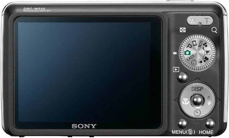 Amazon.com : Sony Cybershot DSC-W220 12.1MP Digital Camera with 4x
