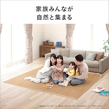 Amazon | パナソニック ホットカーペット フローリングタイプ ~3畳相当