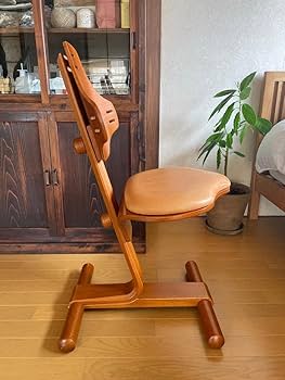 Amazon.co.jp: ノルウェー 家具 Rybo リボ社 FLEXIT フレキシット