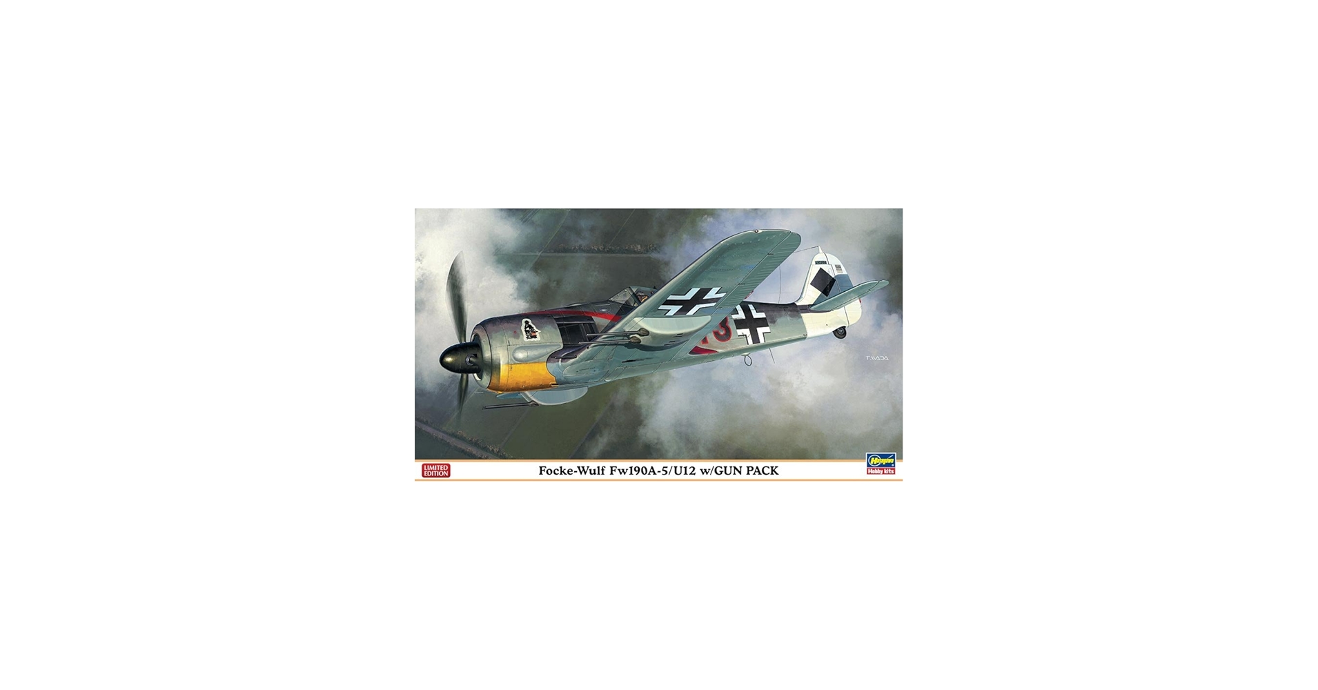 Amazon.com: Focke Wulf FW-190A-5/U12 1/48 Hasegawa : Arts, Crafts