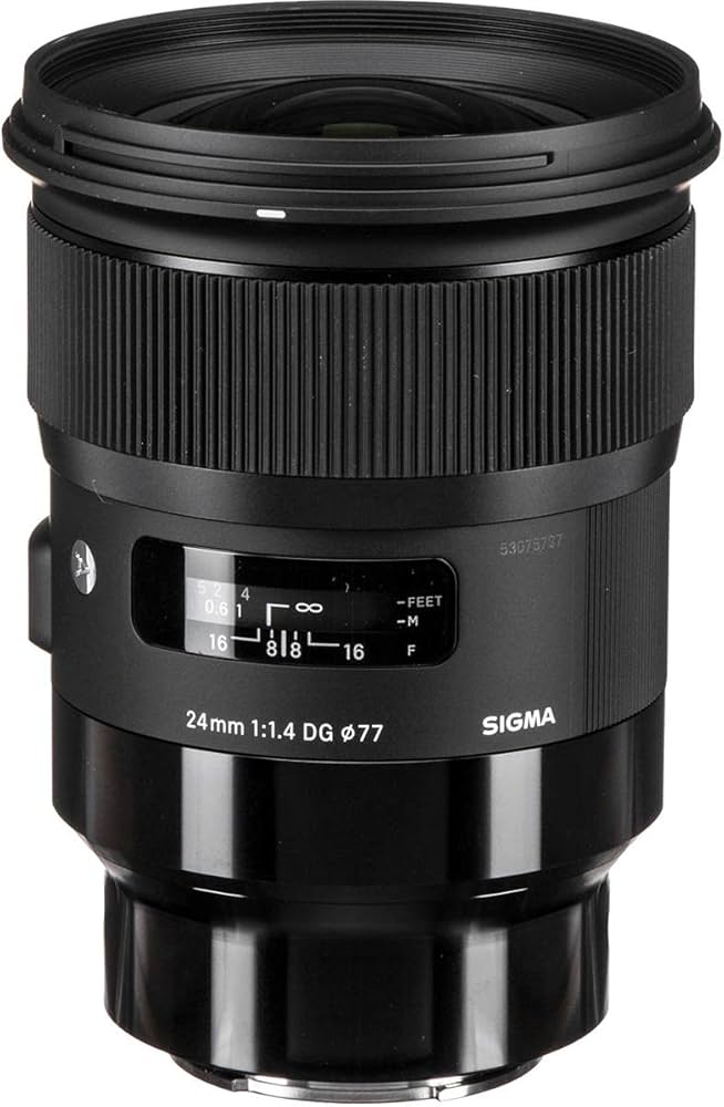 Amazon.com : Sigma 24mm F/1.4 DG HSM Art Lens for Sony E (401965