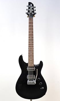 Amazon | FERNANDES フェルナンデス エレキギター APG-DLX JPC 2011
