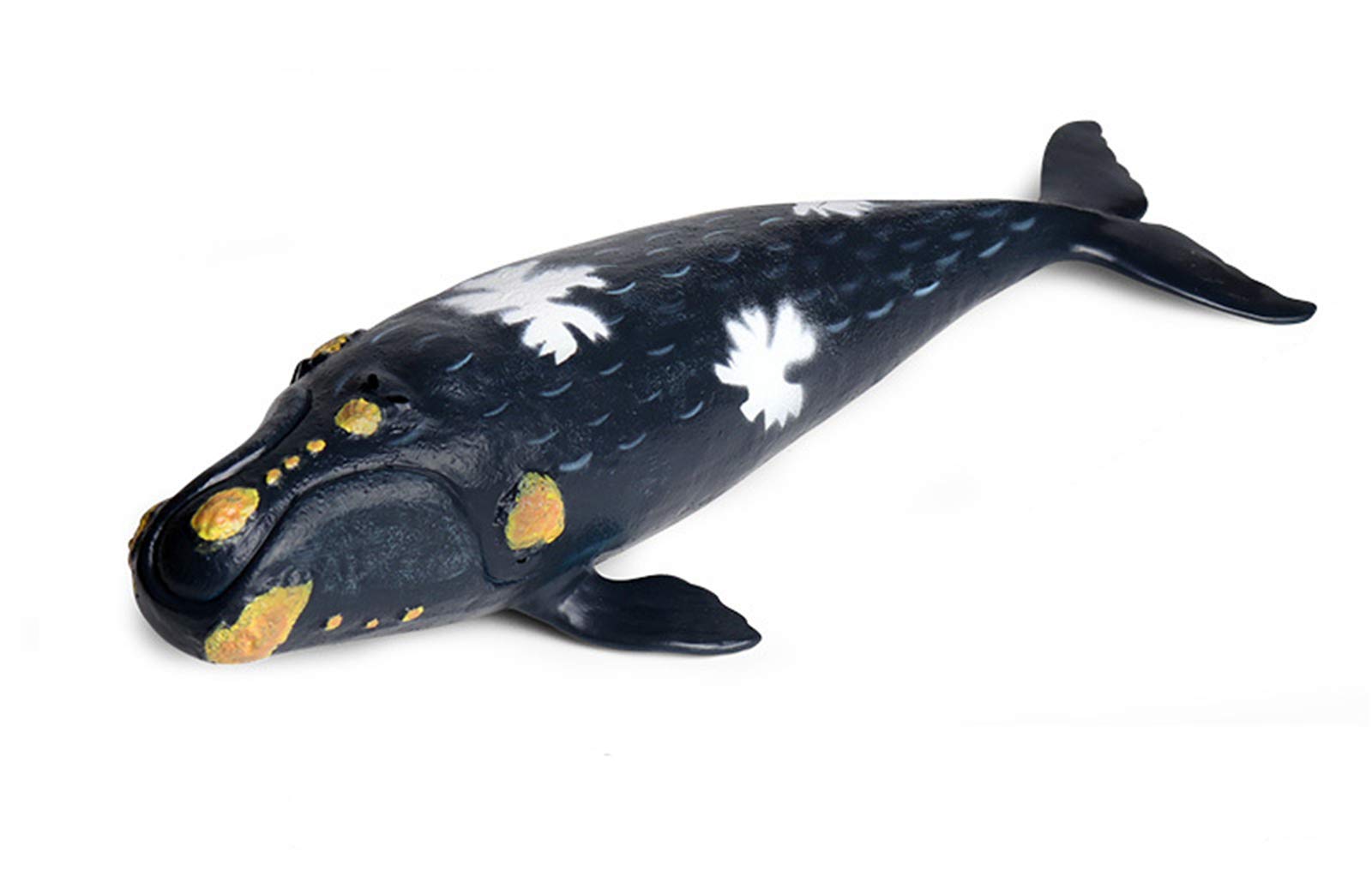 マッコウクジラの牙 七福神 玉峰作 ケース付き マッコウクジラの牙