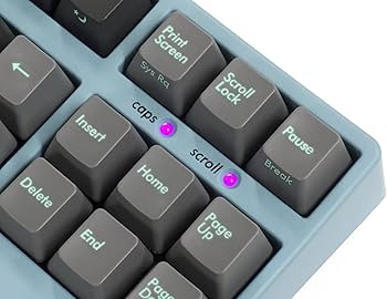 Amazon.co.jp: FILCO Majestouch 2SC テンキーレス 日本語配列 CHERRY